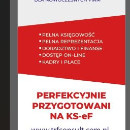 TRF CONSULT SPÓŁKA Z OGRANICZONĄ ODPOWIEDZIALNOŚCIĄ - Księgowy Włocławek