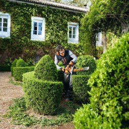 Bud - Ogrodnik w słuchawkach i okularach ochronnych przycina żywopłot w kształcie kuli i stożka za pomocą elektrycznych nożyc. Tło stanowi budynek porośnięty bluszczem.