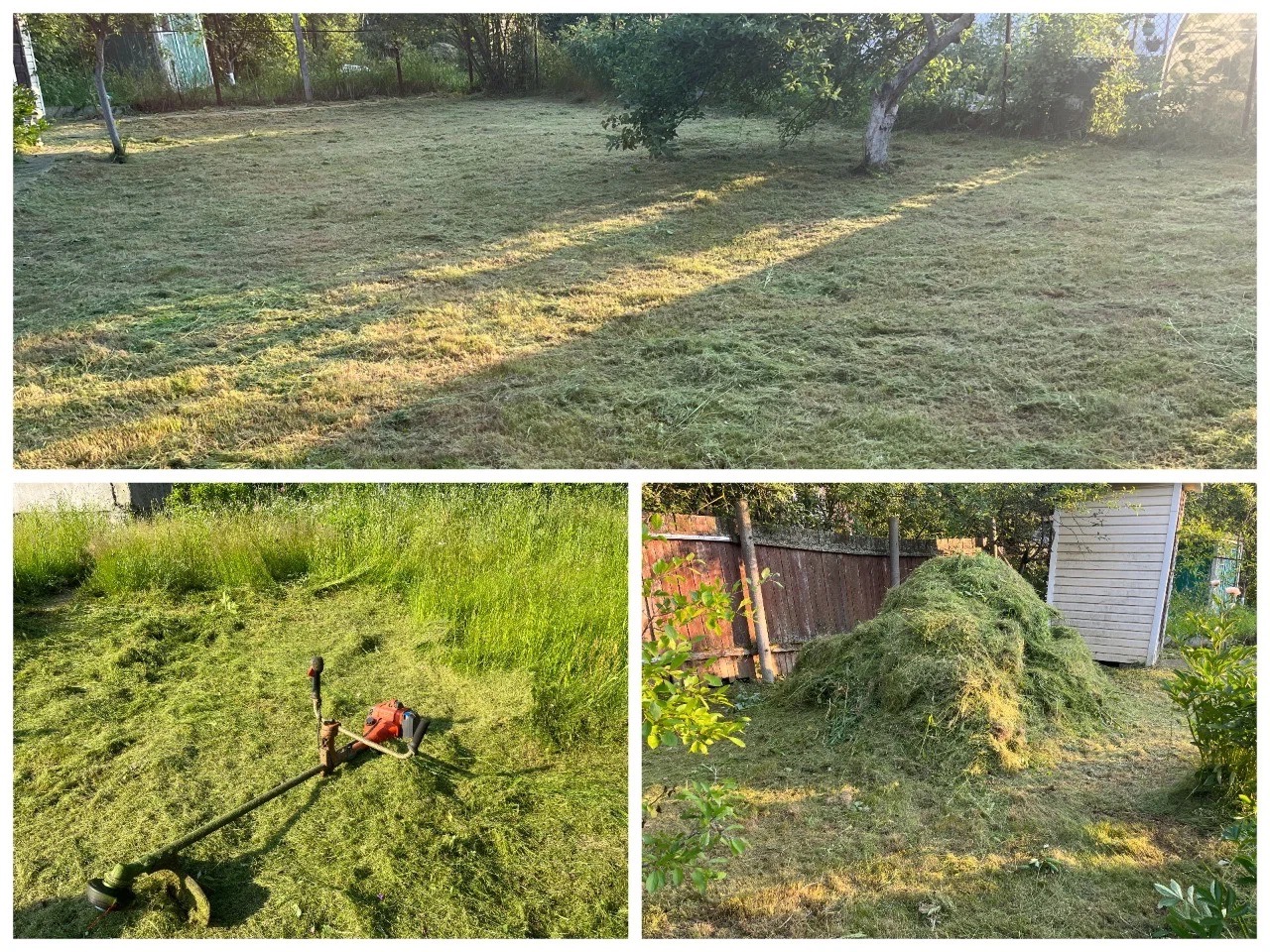 Widok na ogród po skoszeniu trawy, z pozostawioną stertą skoszonej trawy przy drewnianym płocie i kosiarką spalinową leżącą na trawie.