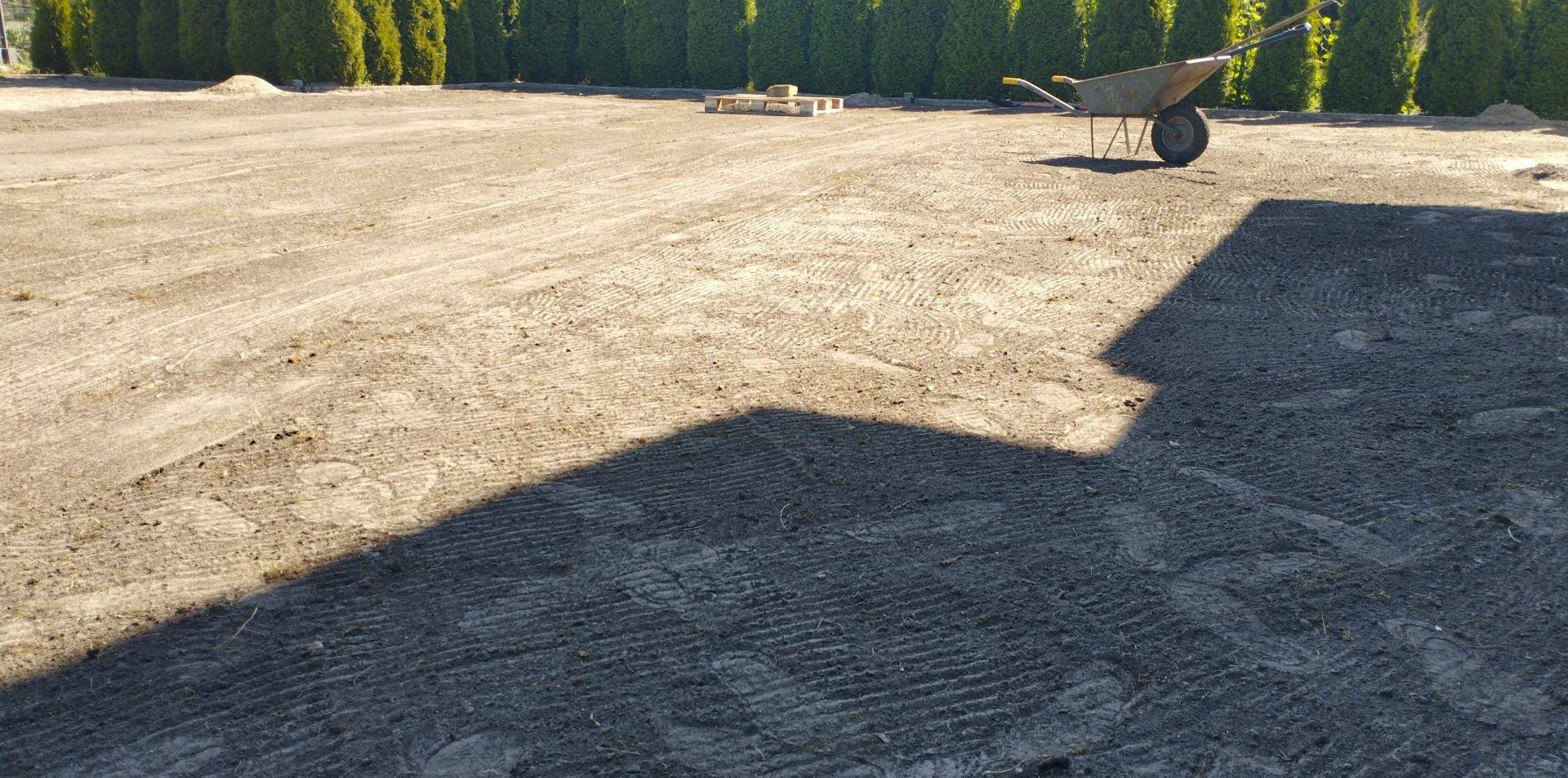 Przygotowany teren pod trawnik, widoczne ślady po maszynach, taczka i paleta w tle, żywopłot z tui w tle.