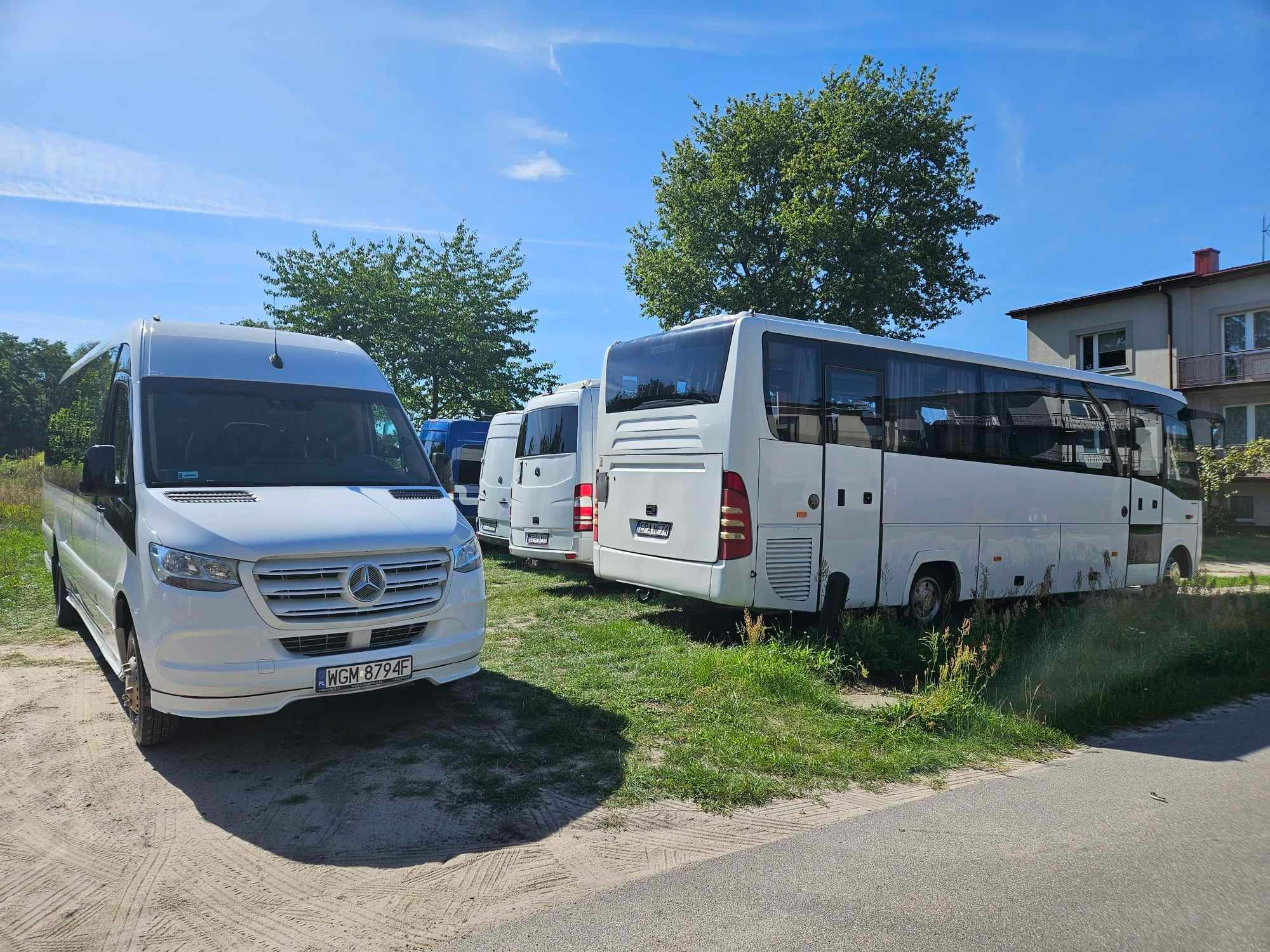 Flota białych busów i autokarów Mercedes-Benz zaparkowana na trawiastym terenie w słoneczny dzień.