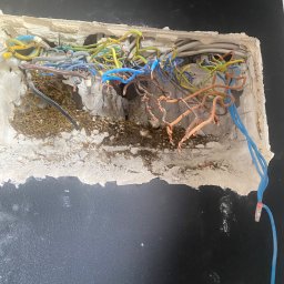 Płyta karton gips Gąsawa 4