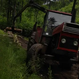 Czerwony traktor z wysięgnikiem hydraulicznym w lesie, przygotowujący drewno do transportu, widoczne ścięte pnie drzew.