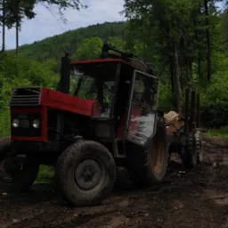 Czerwony traktor z przyczepą wypełnioną ściętymi kłodami drewna stoi na błotnistej drodze w lesie.