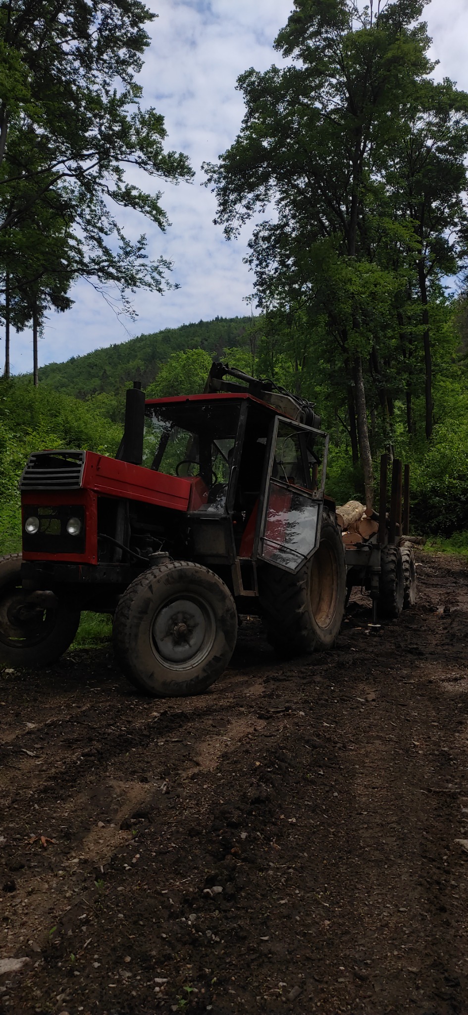 Czerwony traktor z przyczepą wypełnioną ściętymi kłodami drewna stoi na błotnistej drodze w lesie.