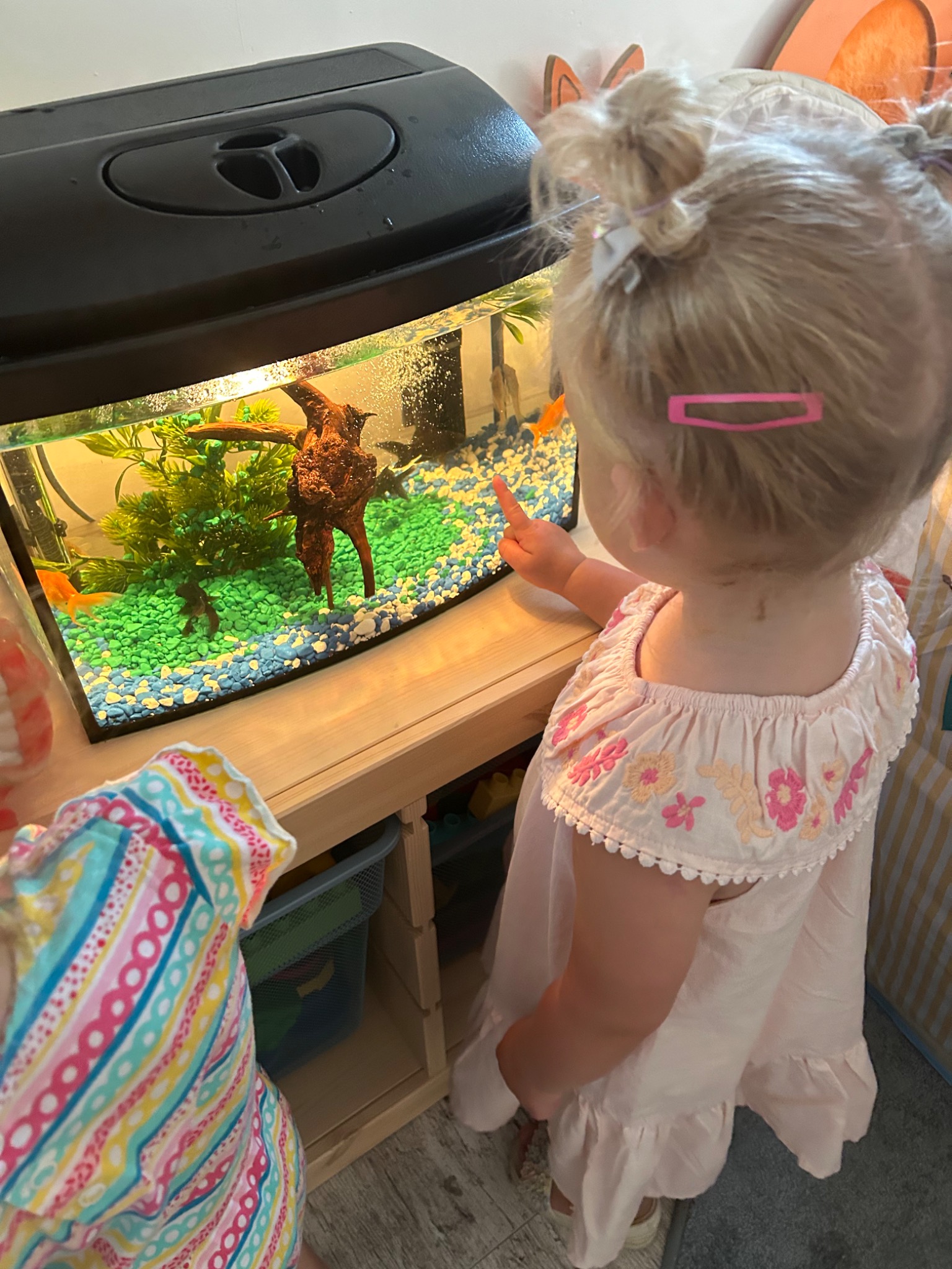 Dwie małe dziewczynki oglądają akwarium z kolorowymi kamykami, roślinami i rybkami, jedna z nich wskazuje palcem na wnętrze akwarium.