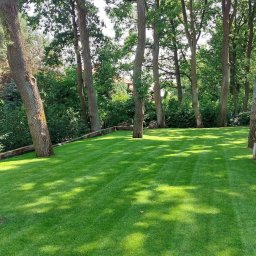 Zakładanie ogrodów Warszawa 4