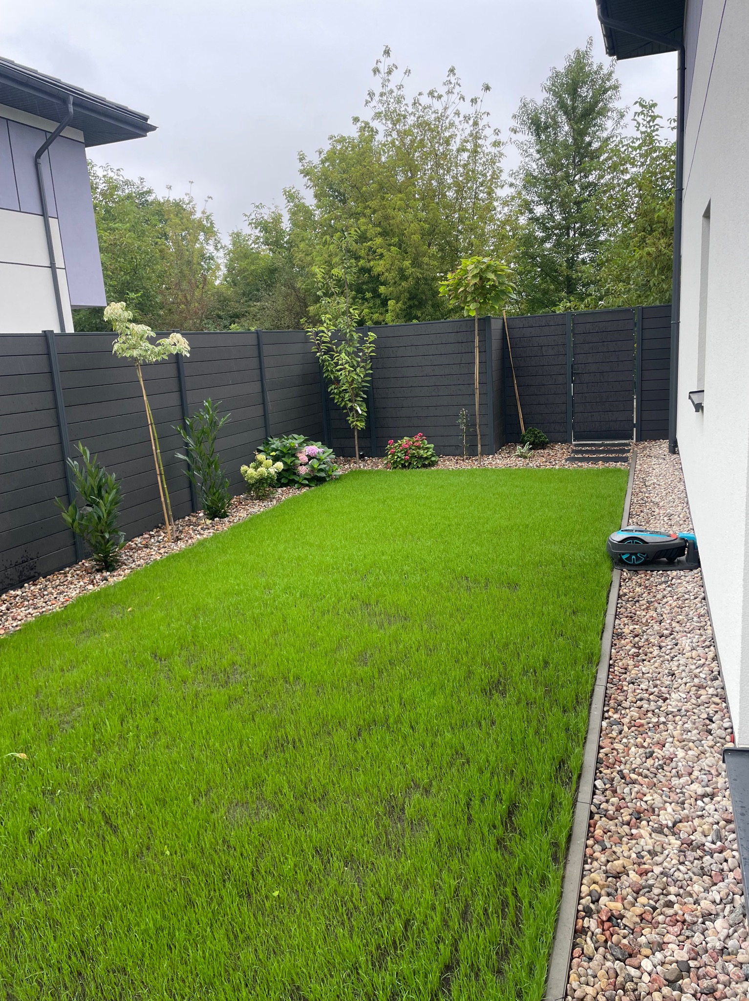Zadbany trawnik z robotem koszącym przy nowoczesnym domu. Ciemne ogrodzenie panelowe, ozdobne drzewka i kamienne rabaty. Świeżo skoszona trawa, pochmurne niebo.