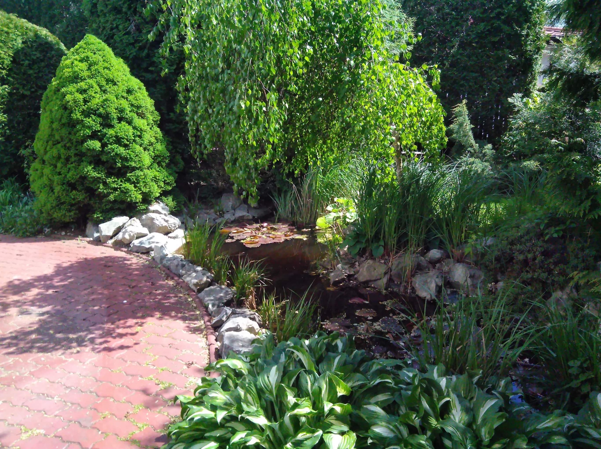 Ogród z oczkiem wodnym otoczonym kamieniami i roślinnością, widok z poziomu ścieżki z czerwonej kostki. W tle drzewa i krzewy.