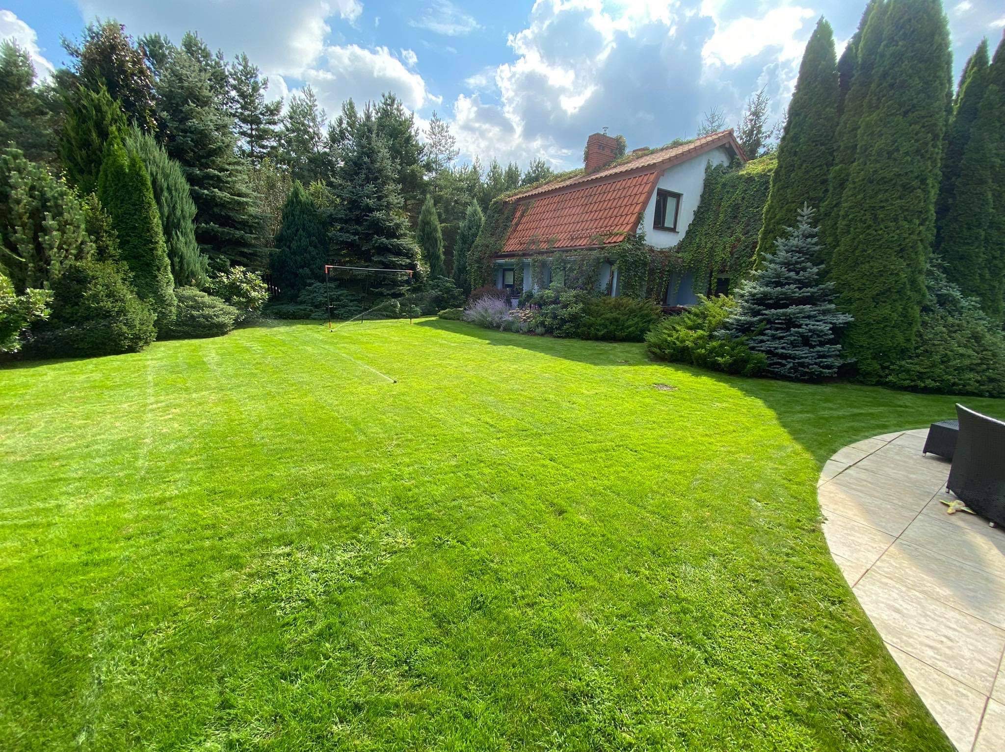 Zadbany trawnik przed domem z czerwonym dachem, otoczonym zielenią. Widoczny system nawadniania w trakcie pracy i fragment tarasu z meblami ogrodowymi.