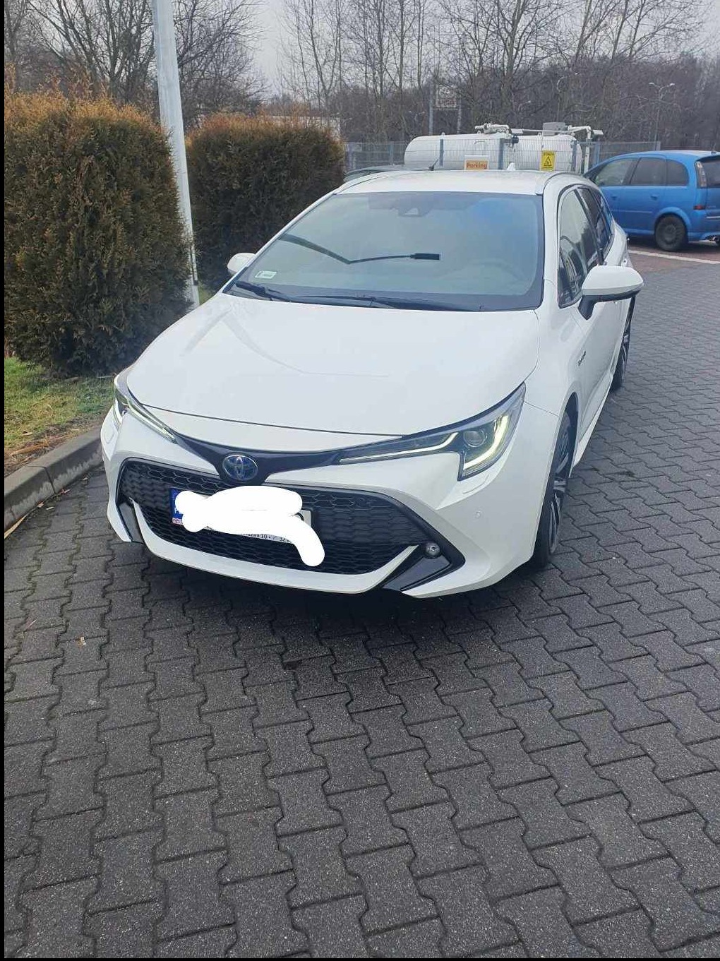 Biała Toyota Corolla kombi zaparkowana na brukowanej nawierzchni, widok z przodu, tablica rejestracyjna zasłonięta, w tle krzewy i niebieski samochód.