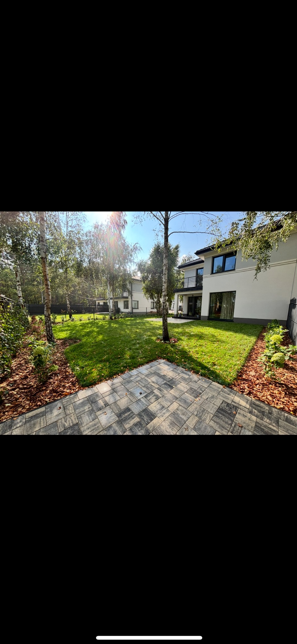 Zadbany trawnik z kostką brukową w nowoczesnym ogrodzie z białymi brzozami i budynkiem w tle, w słoneczny dzień. Widok z poziomu kostki brukowej.