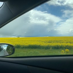 Przewóz osób Elbląg 4