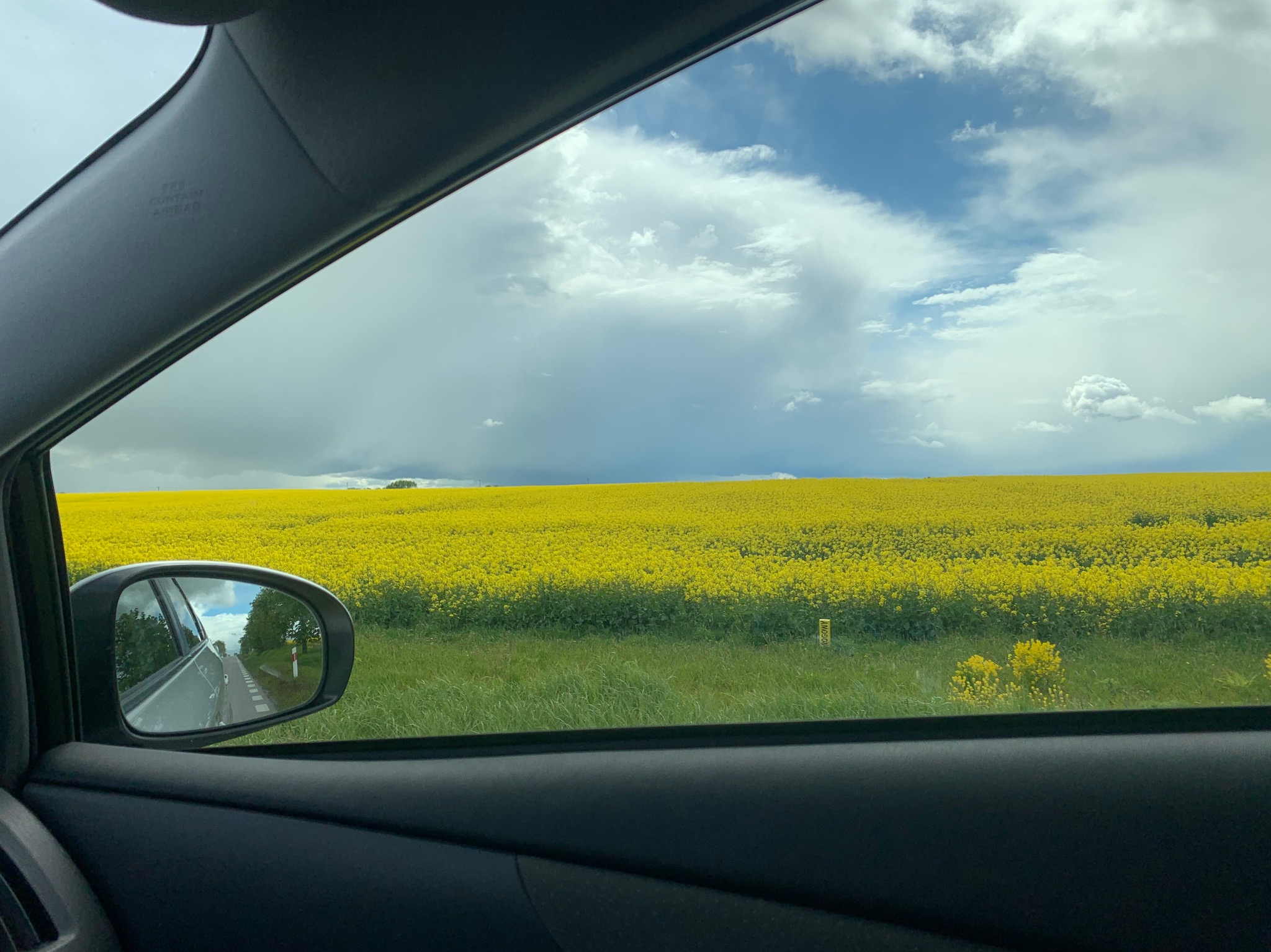 Widok z wnętrza samochodu na pole rzepaku i pochmurne niebo, odbicie w lusterku bocznym ukazuje drogę. Podróż samochodem.