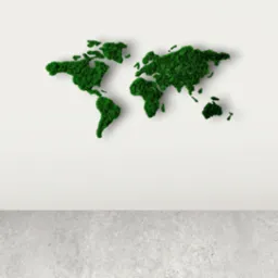 Dekoracja ścienna przedstawiająca mapę świata wykonana z zielonego mchu na białym tle, widok z dołu.
