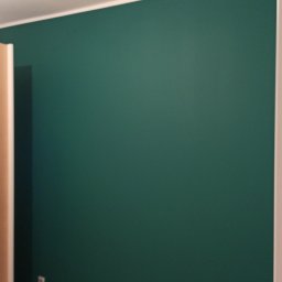 Maestro - Ściana pomalowana na ciemnozielony kolor, widoczne gniazdka elektryczne i fragment podłogi z paneli.