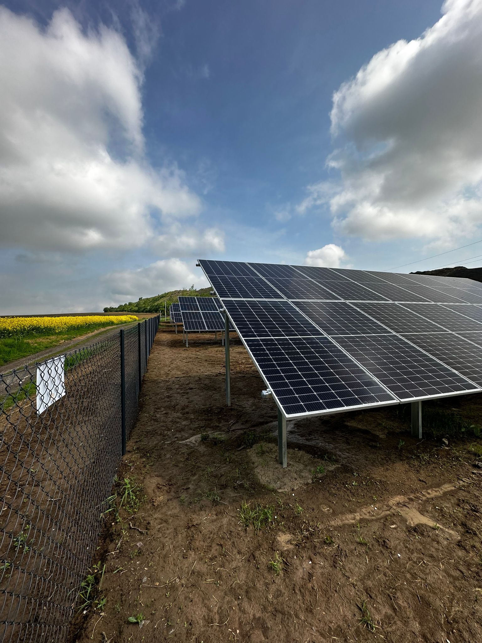 Rząd paneli słonecznych na polu z żółtymi kwiatami w tle, widok zza siatki ogrodzeniowej pod pochmurnym niebem. Instalacja fotowoltaiczna w krajobrazie.
