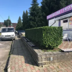 Równomiernie przycięty żywopłot z tui szmaragdowej w kształcie prostopadłościanu, oddzielający chodnik od lodziarni, z widocznymi ławkami i zaparkowanym busem w tle.