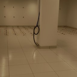 Glazurnik Popowo Kościelne 1