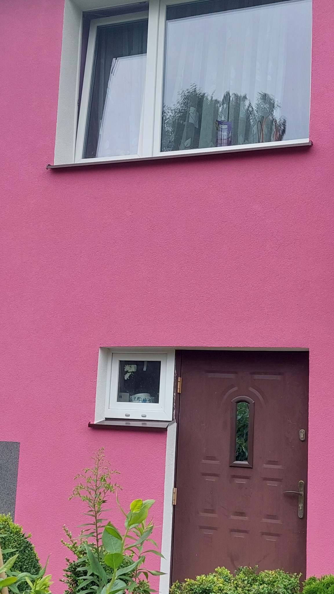 Różowa fasada domu z brązowymi drzwiami wejściowymi i białymi ramami okiennymi, widoczne rośliny w ogrodzie przed budynkiem.