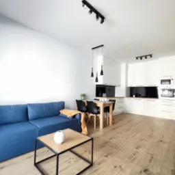 Jasne, przestronne wnętrze mieszkania z drewnianą podłogą, niebieską sofą i białą zabudową kuchenną z czarnymi akcentami, oświetlone reflektorami i wiszącymi lampami.