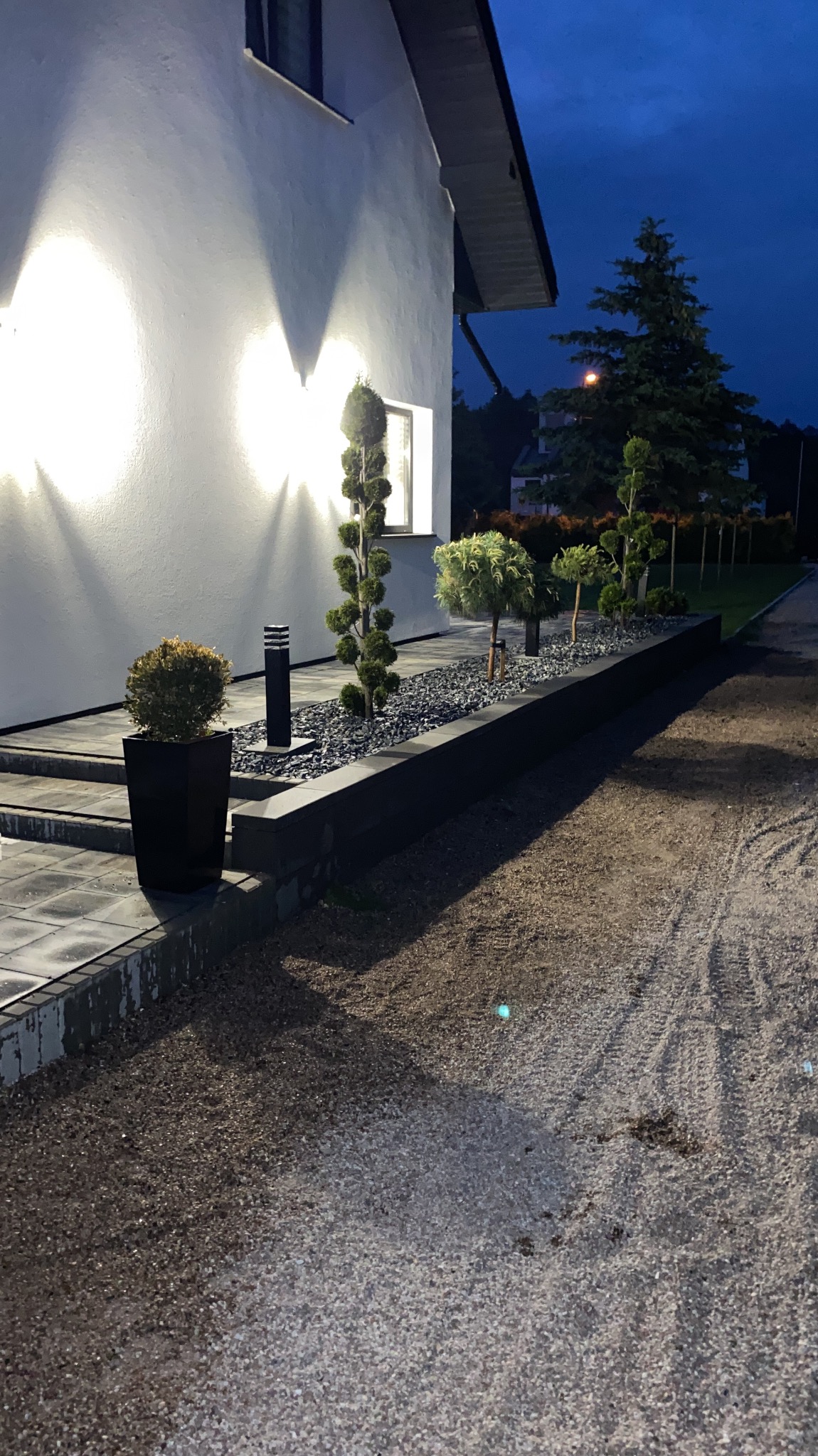 Nowoczesny ogród przydomowy z podświetloną elewacją, ozdobnymi krzewami w donicach i na rabacie wysypanej grysem, widok nocą.