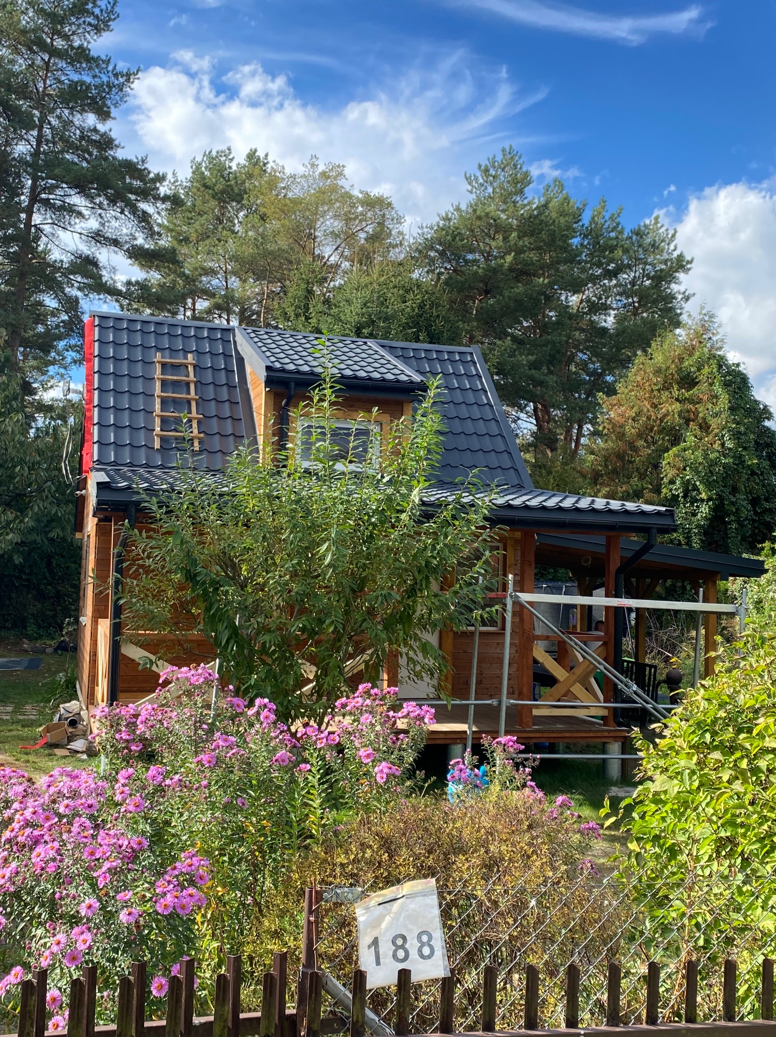 Drewniany dom z czarnym dachem w Dąbrówkach, w trakcie budowy z widocznym rusztowaniem i elementami przygotowanymi do montażu dachu, otoczony zielenią i kwitnącymi kwiatami.