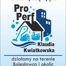 FIRMA SPRZĄTAJĄCA PRO-PERF KLAUDIA KWIATKOWSKA - Alpinistyczne Mycie Szyb Bolesławiec
