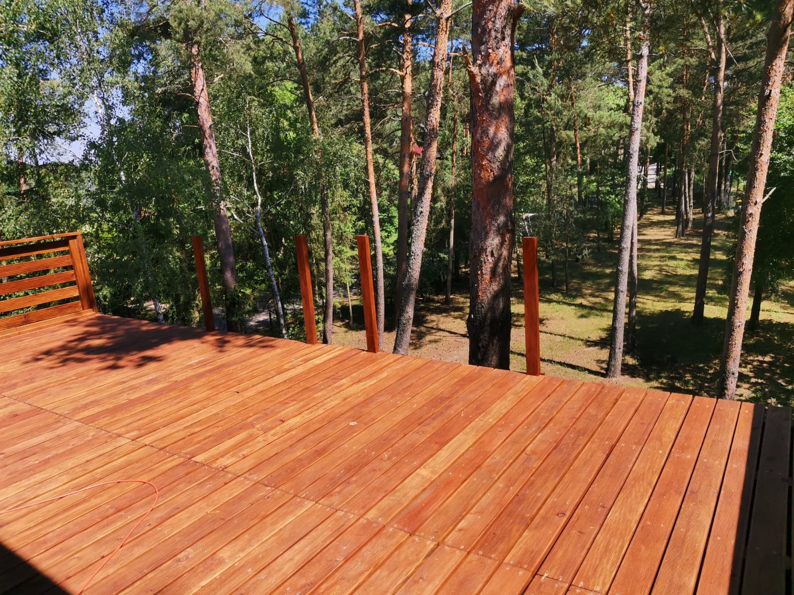 Nowa, drewniana deska tarasowa w kolorze ciepłego brązu, z widoczną balustradą i słupkami, otoczona zielonym lasem sosnowym w słoneczny dzień.