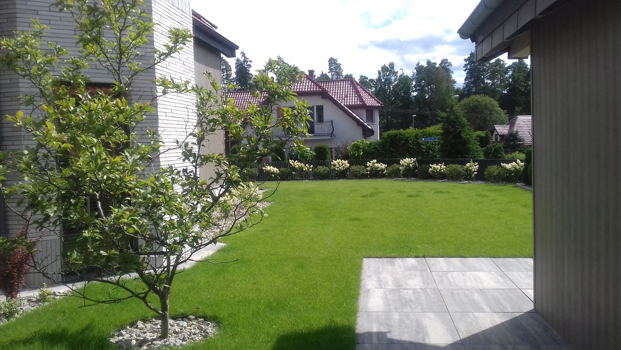 Zadbany trawnik z młodym drzewkiem na pierwszym planie, w tle dom z czerwoną dachówką i rabata z kwitnącymi krzewami, widok z boku budynku z szarych płyt.