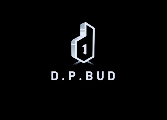 Logo firmy D.P.BUD z geometrycznym symbolem przypominającym literę 'D' z numerem 1 w środku, na czarnym tle.