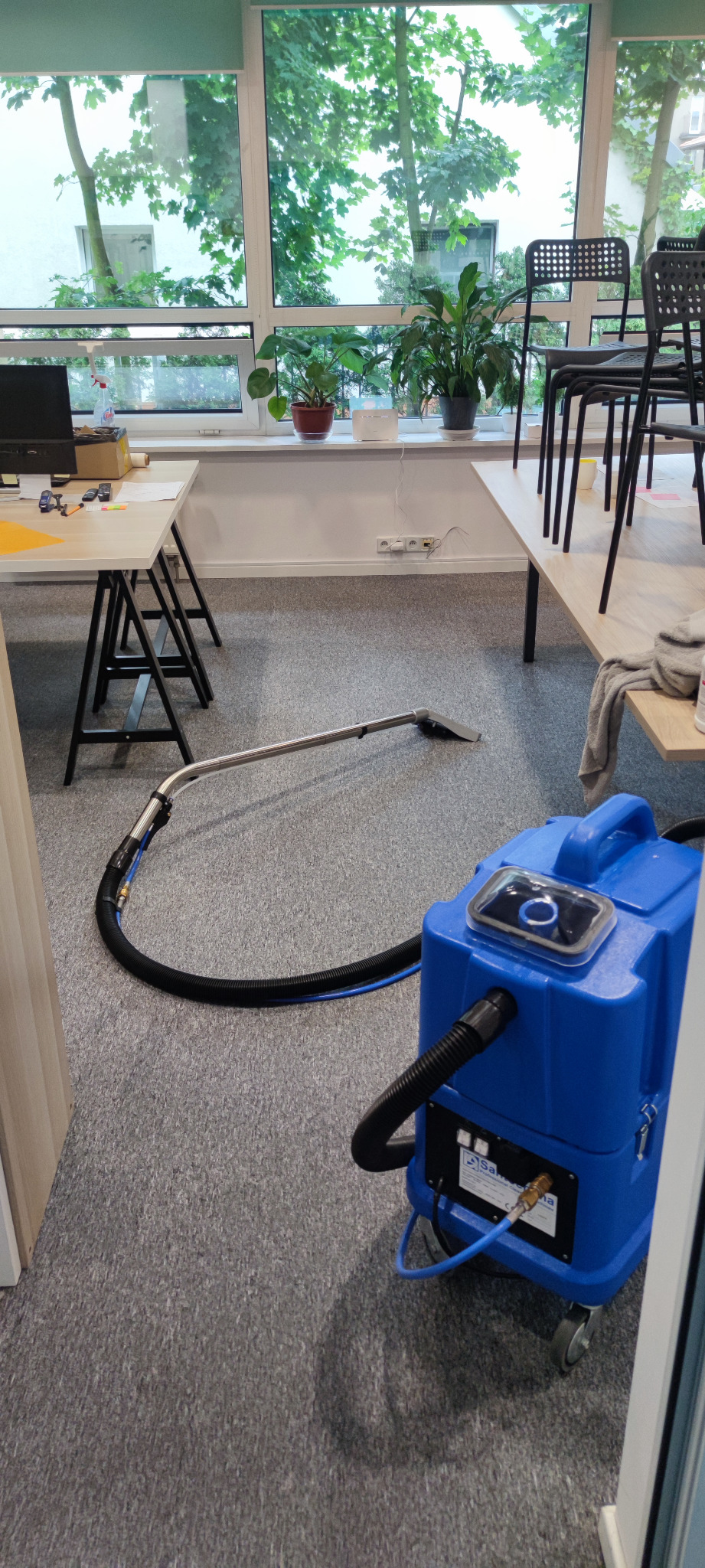 Niebieski odkurzacz piorący z wężem i dyszą leży na szarym dywanie w biurze z biurkami, krzesłami i roślinami doniczkowymi przy oknie.