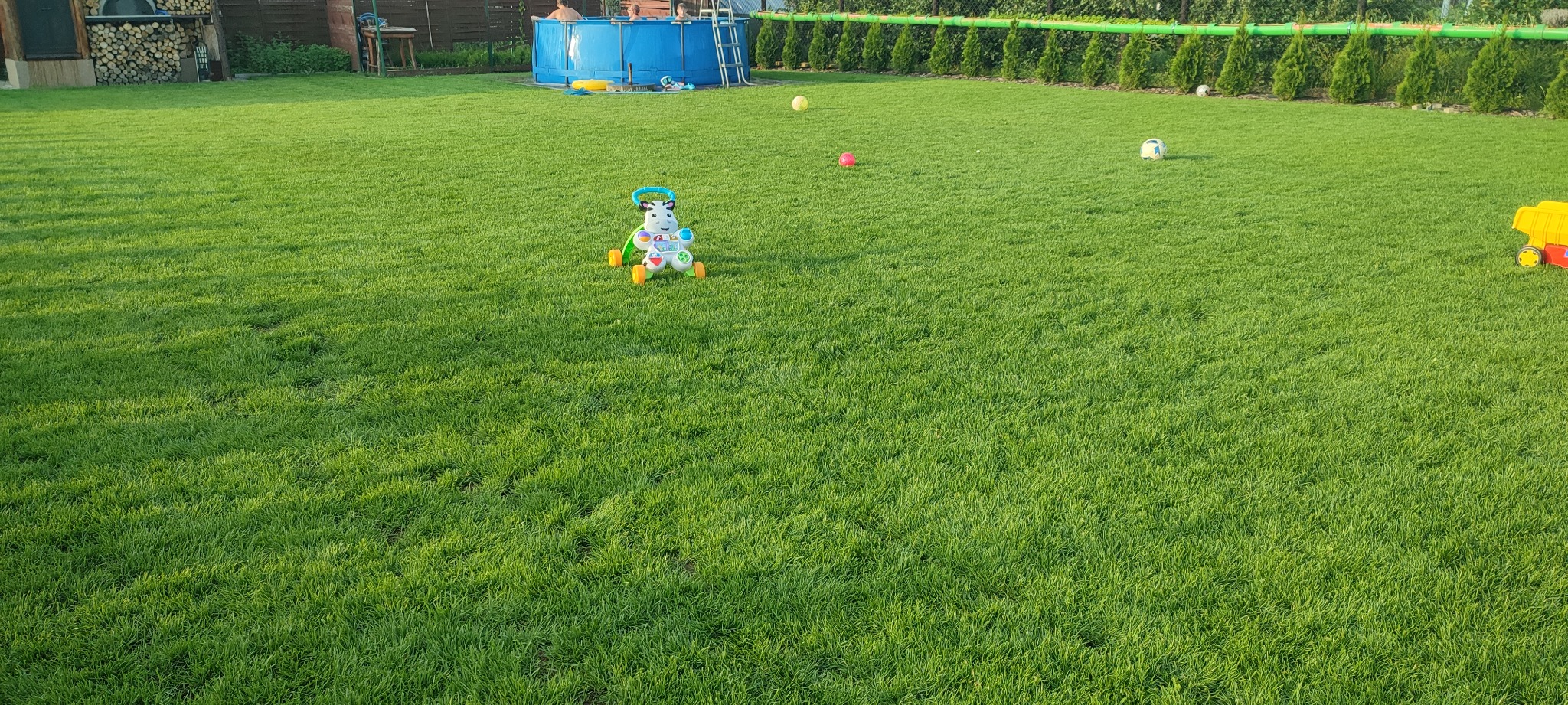 Soczysta, równo skoszona trawa w ogrodzie z zabawkami dziecięcymi i basenem w tle, otoczona tujami.