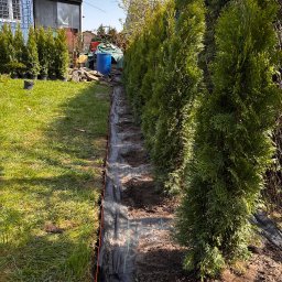 ZAKAQUA Michał Zakrzewski - Rząd świeżo posadzonych, zielonych drzewek iglastych wzdłuż granicy działki, zabezpieczonych czarną agrowłókniną. Widoczne dołki przygotowane pod kolejne sadzonki.