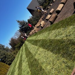 J.Z- Gardens - Perfekcyjne Ścinanie Drzew Wołomin