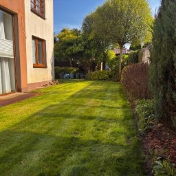 J.Z- Gardens - Perfekcyjne Ścinanie Drzew Wołomin