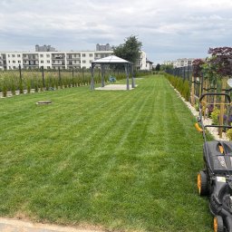 ZAKAQUA Michał Zakrzewski - Równomiernie skoszony trawnik z widoczną kosiarką, rabatami z tujami i drzewami. W tle zabudowa wielorodzinna i altana ogrodowa.