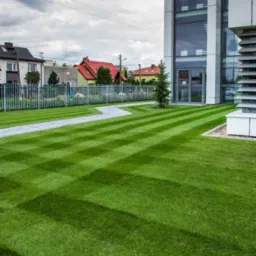 Perfekcyjnie skoszony trawnik przed nowoczesnym budynkiem biurowym. Widoczne r&oacute;wne pasy trawy i ścieżka z kostki brukowej. W tle domy jednorodzinne.