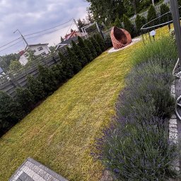 J.Z- Gardens - Perfekcyjne Ścinanie Drzew Wołomin