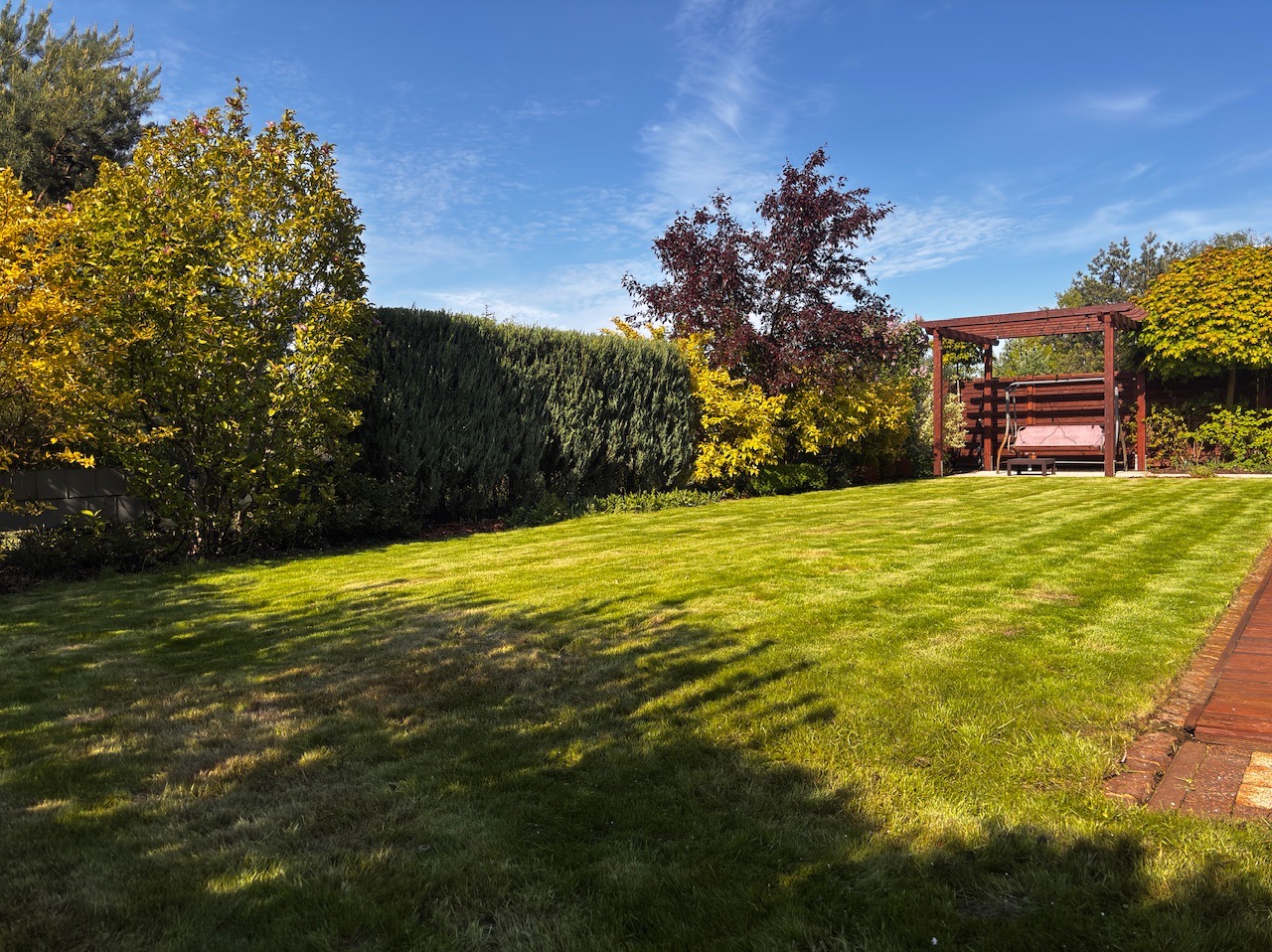 Zadbany trawnik z równo przystrzyżoną trawą, otoczony różnorodną roślinnością: krzewami, drzewami liściastymi i iglastymi. W tle drewniana pergola z huśtawką.