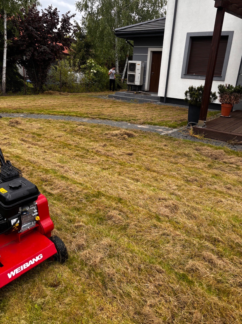 Aeracja trawnika po zimie. Czerwony aerator Weibang na tle posesji z trawnikiem pokrytym resztkami organicznymi. Widoczny pracownik w tle.