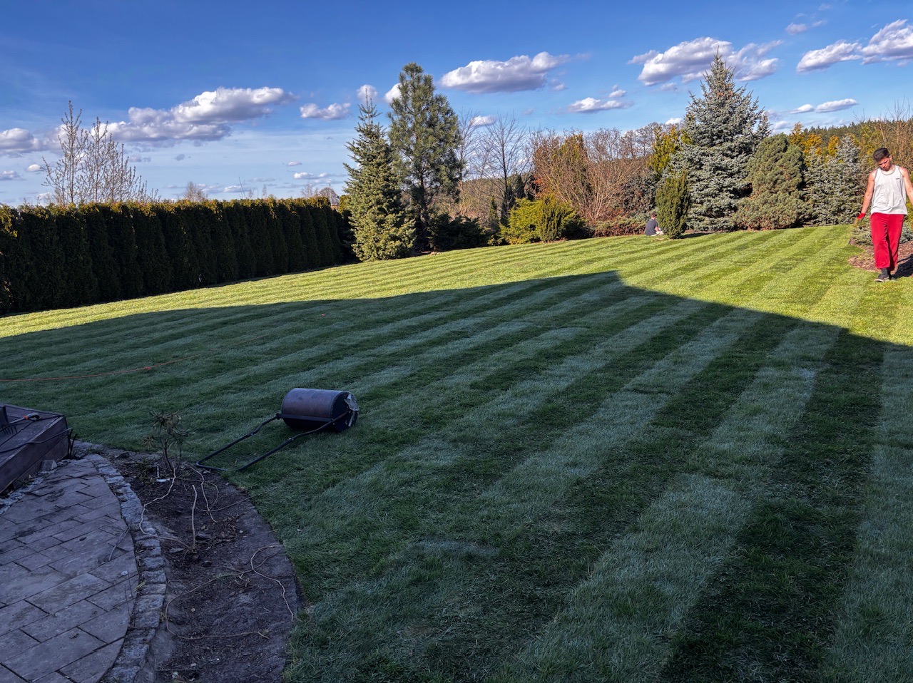 Idealnie skoszony trawnik w pasy, z wałem ogrodowym i osobą w tle. Perfekcyjne koszenie i pielęgnacja trawy w ogrodzie.