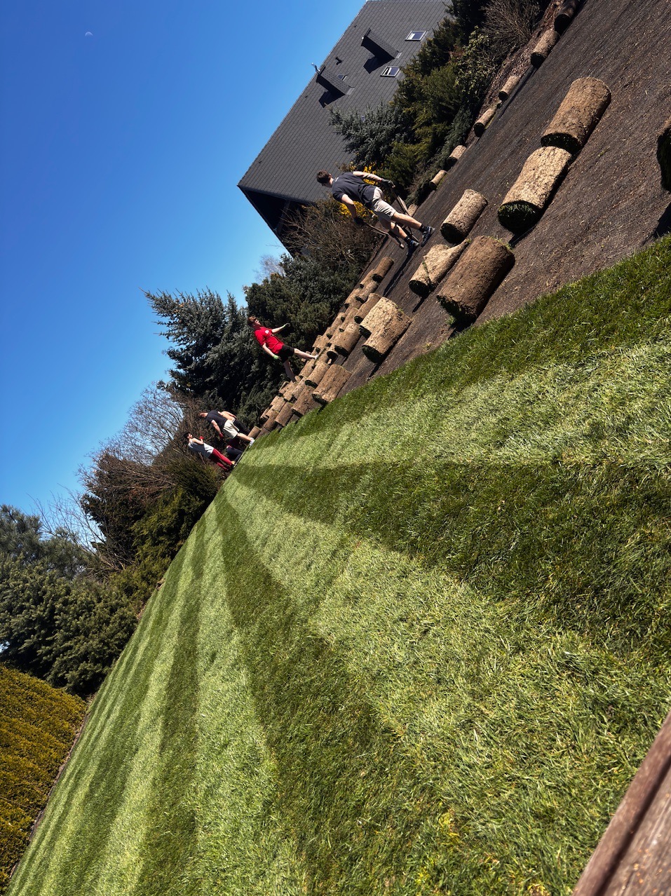 Układanie trawy z rolki na posesji z domem. Widoczni pracownicy podczas rozkładania rolek na przygotowanym podłożu. Na pierwszym planie widoczna ułożona trawa.