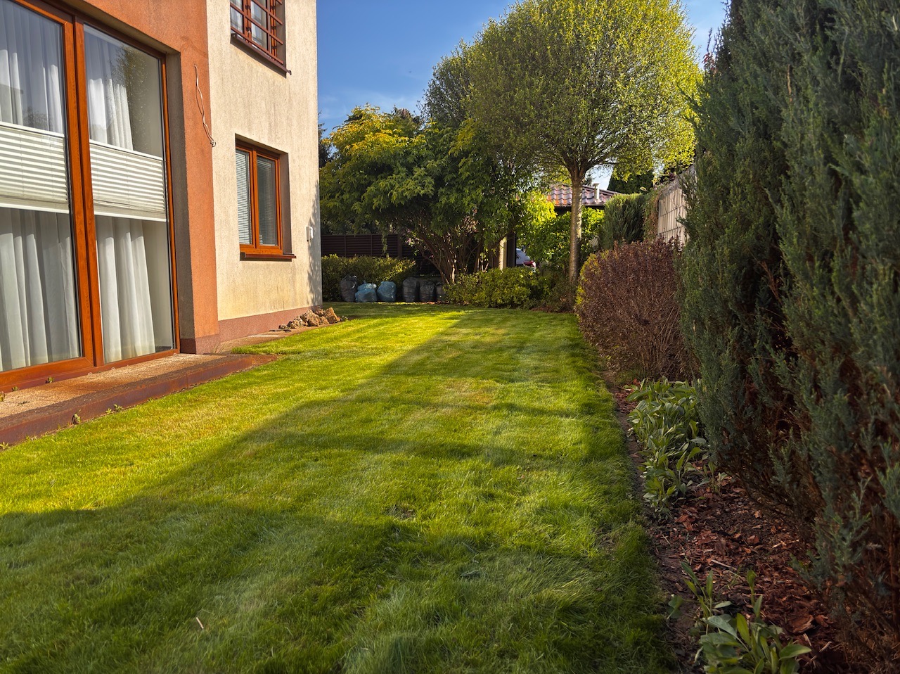 Zadbany trawnik przydomowy z wyraźnymi pasami po koszeniu, graniczący z budynkiem i żywopłotem, w słoneczny dzień.
