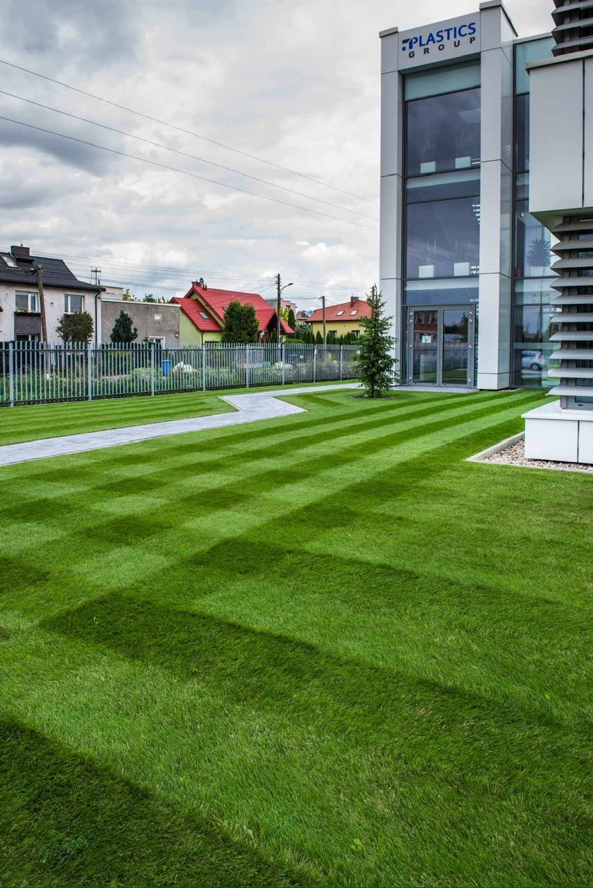 Perfekcyjnie skoszony trawnik przed nowoczesnym budynkiem biurowym. Widoczne równe pasy trawy i ścieżka z kostki brukowej. W tle domy jednorodzinne.
