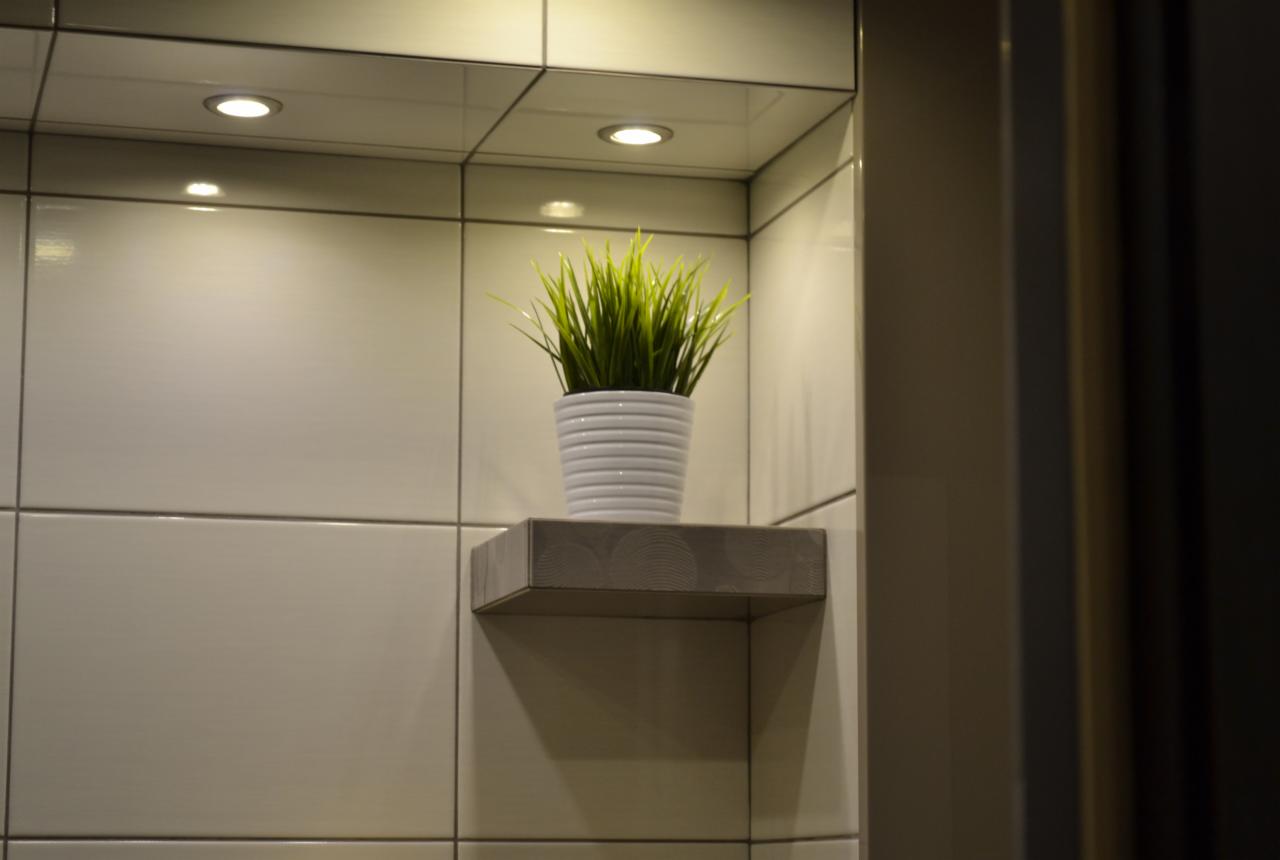 Białe płytki w łazience z półką, na której stoi doniczka z zieloną rośliną. Nad półką widoczne halogenowe oświetlenie sufitowe.