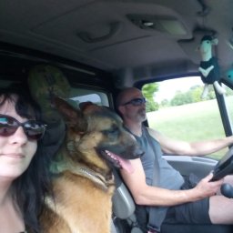 Zaki Trans - Załoga w busie podczas transportu z Łęga: kobieta, mężczyzna za kierownicą i owczarek niemiecki na siedzeniu pasażera. Pluszowa owca w tle.