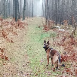 Zaki Trans - Przeprowadzki Międzynarodowe Łęg
