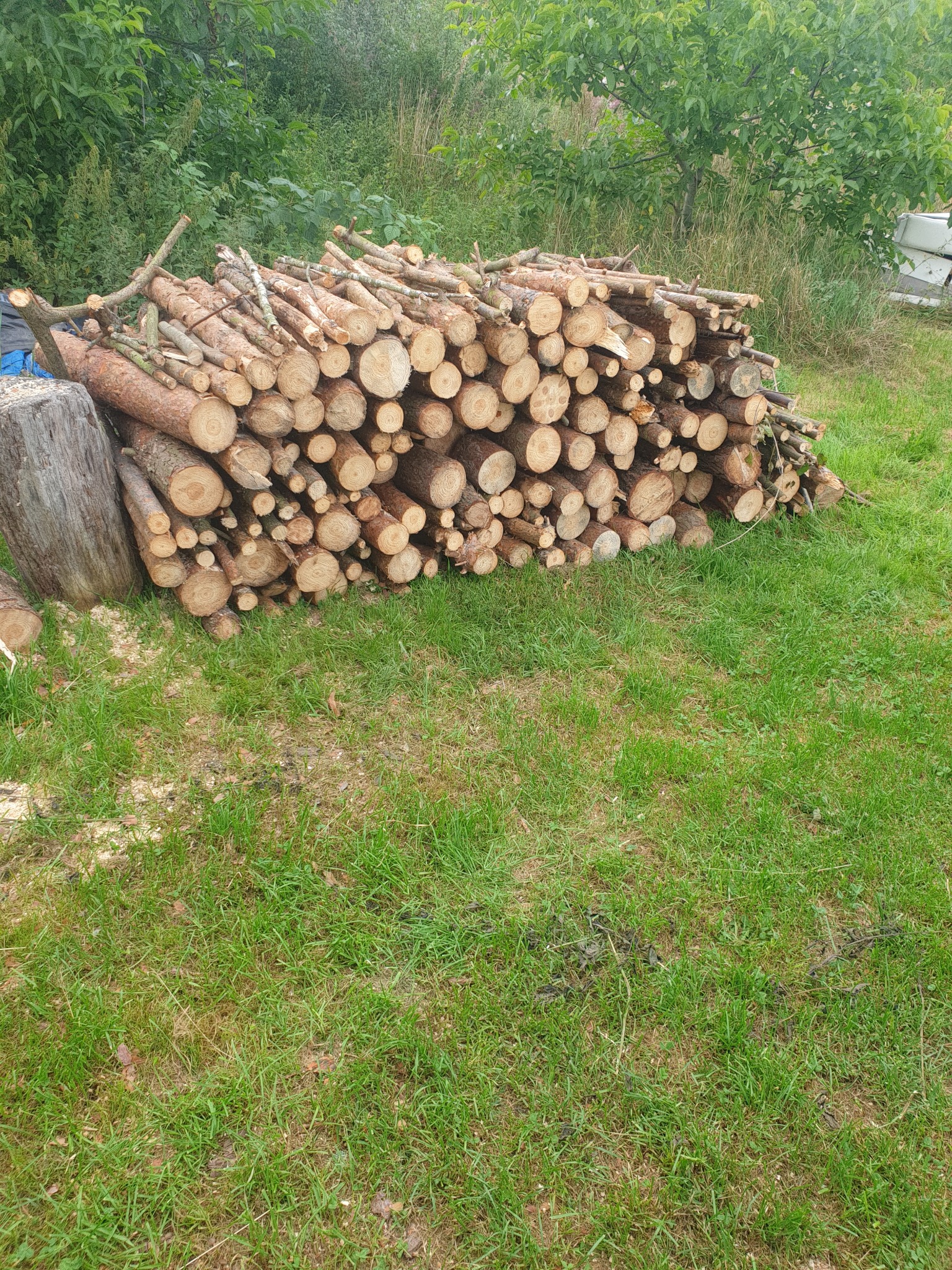 Stos pociętych gałęzi i pni drzew leżący na trawie, obok pieńka, z zielenią w tle.
