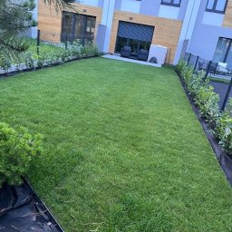 Maksymilian Gralec - Zadbany trawnik z rolki przed nowoczesnym budynkiem, obrzeża wykończone niskimi krzewami. Widoczne elementy systemu nawadniania.